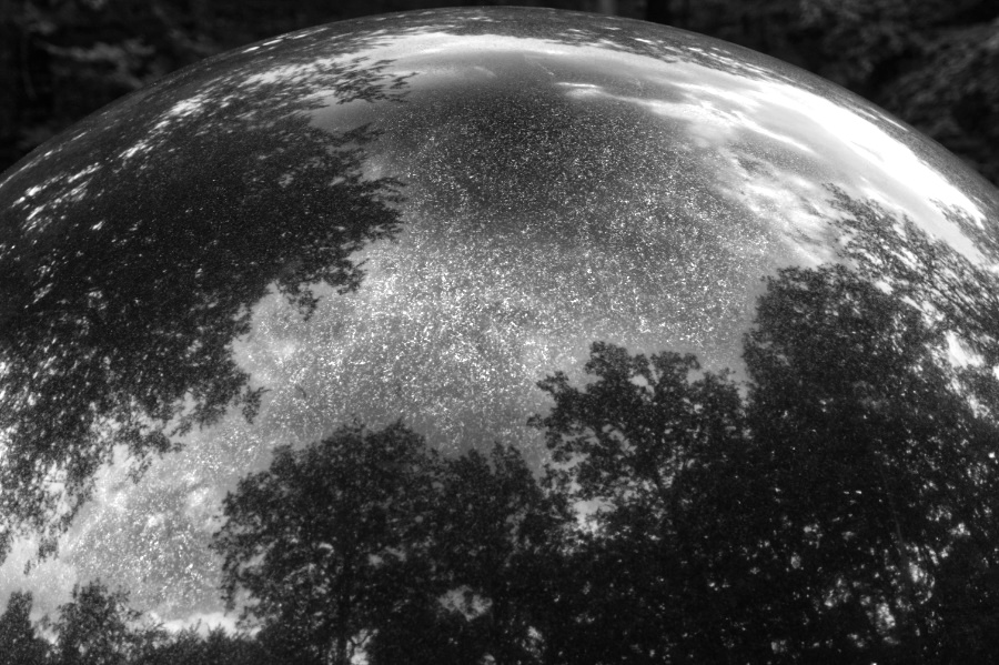 Sphere with reflected trees