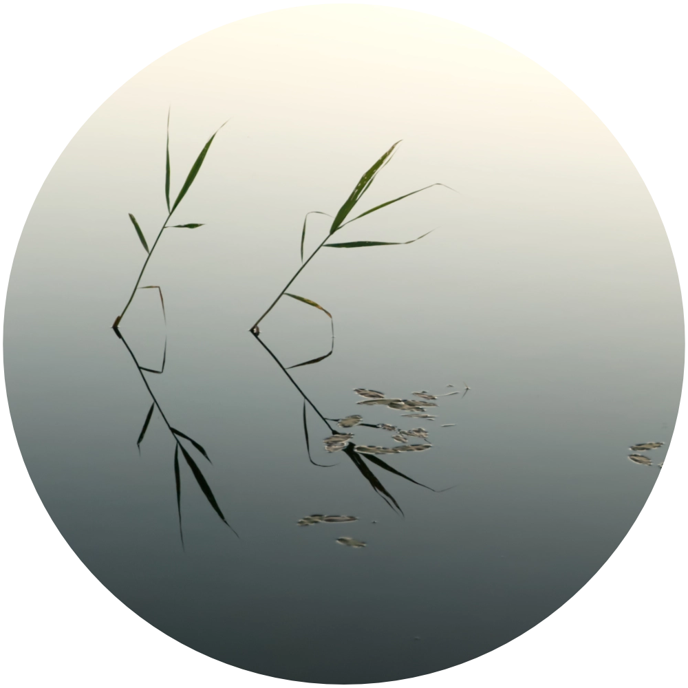 midsummer night in Sweden