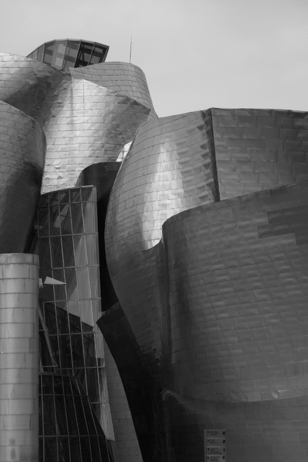 Guggenheim museum by Frank Gehry, Bilbao in black and white