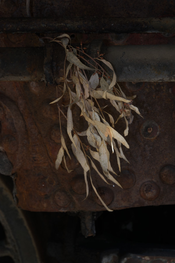 Abandoned railway station in Myloi, Peloponnese