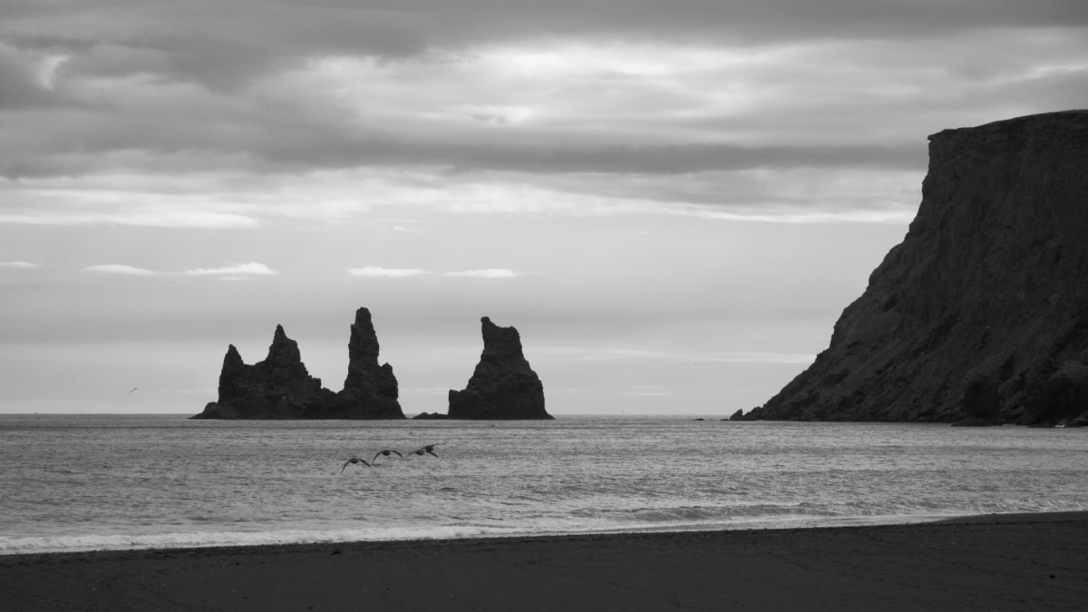 Lava beach near Vik, Iceland, in black and white.