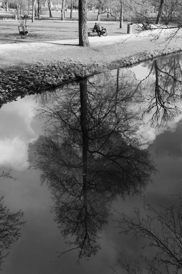 Vondelpark in early springtime in black and white